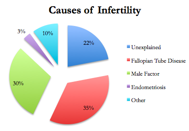 infertility Chhabra Hospital